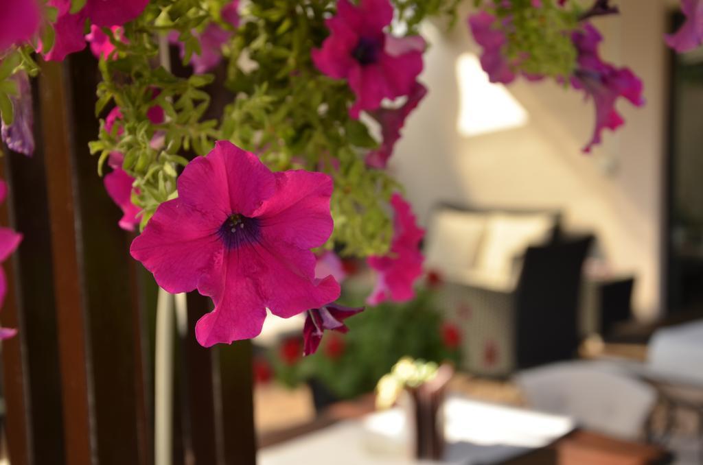 Hotel Topcider Belgrado Exterior foto